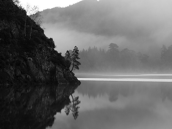 20111106-Glen Affric-PB062739