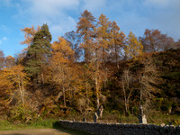 20111105-Rose Isle-PB052700