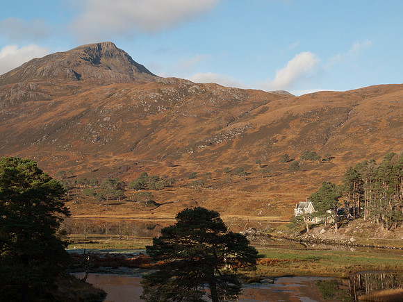 20111106-Glen Affric-QB064927