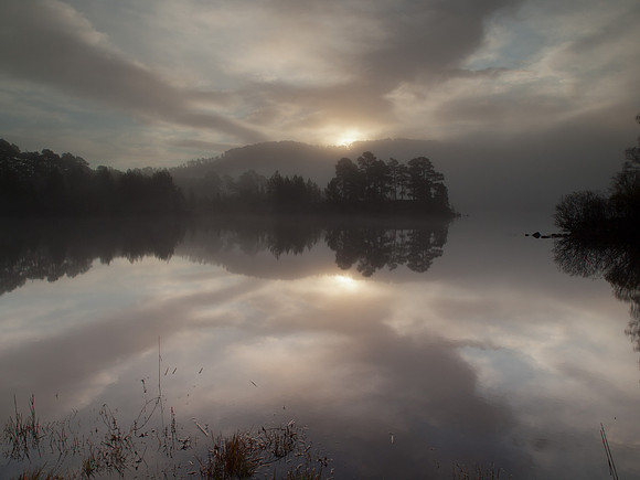 20111106-Glen Affric-QB064863
