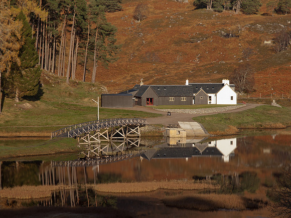 20111106-Glen Affric-QB064930