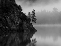 20111106-Glen Affric-PB062731