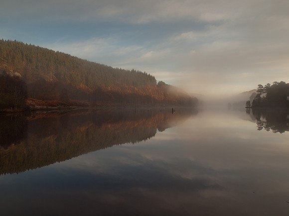 20111106-Glen Affric-QB064834