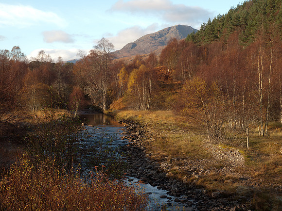 20111106-Glen Affric-QB064904