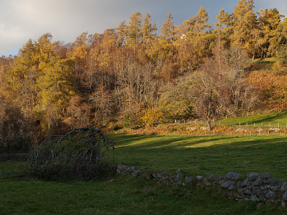 20111105-Rose Isle-PB052719