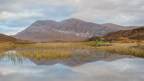 Arkle