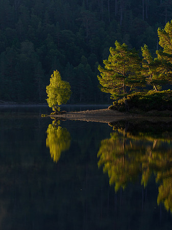 2022-09 First Light