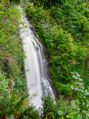 20250815-Dhivach Falls-P1003914