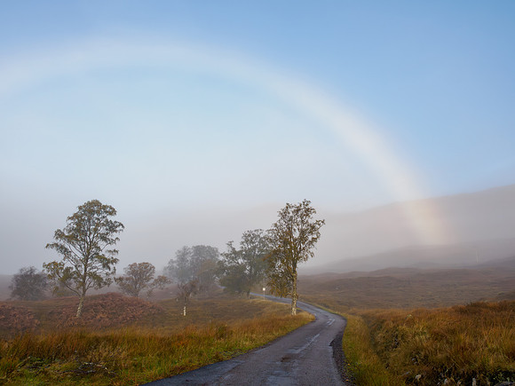 Fogbow Road