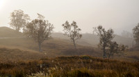 Atmospherics