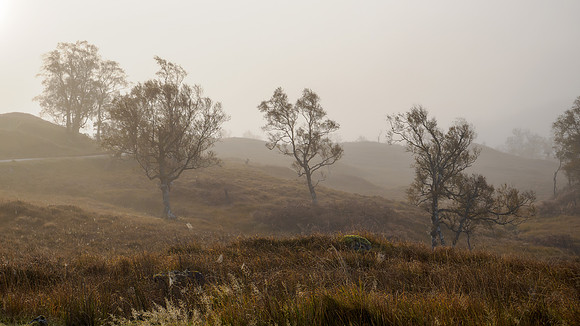 Atmospherics