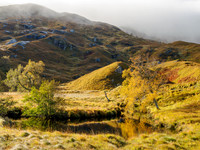 Autumn Reflection
