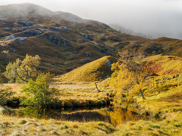 Autumn Reflection