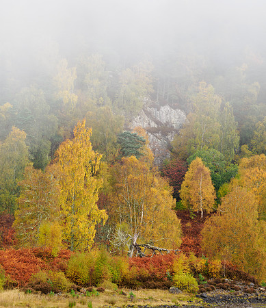 Affric Autumn