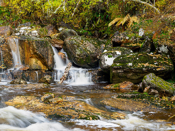 Affric Autumn