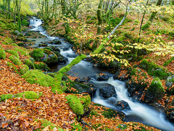 Eskadale Burn