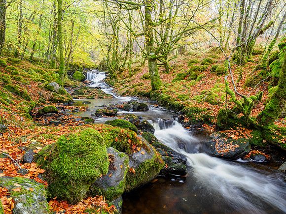 Eskadale Burn