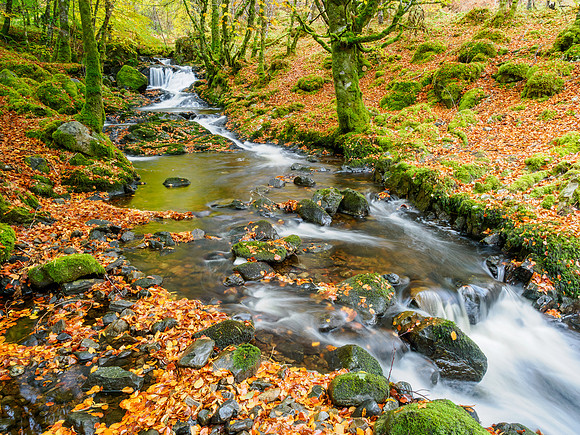 Eskadale Burn
