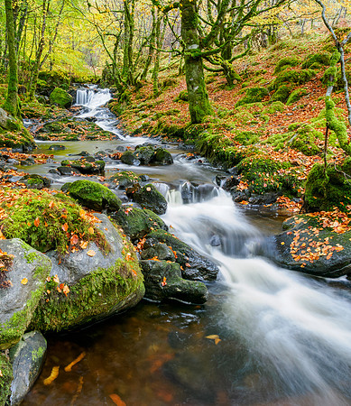Eskadale Burn