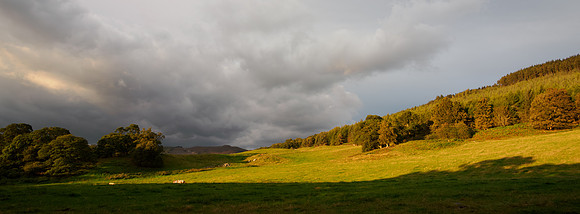 Balmacaan