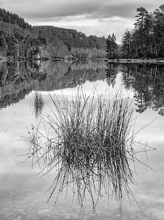 Affric Reflections