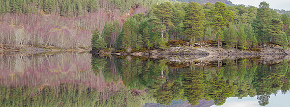 Affric Reflections