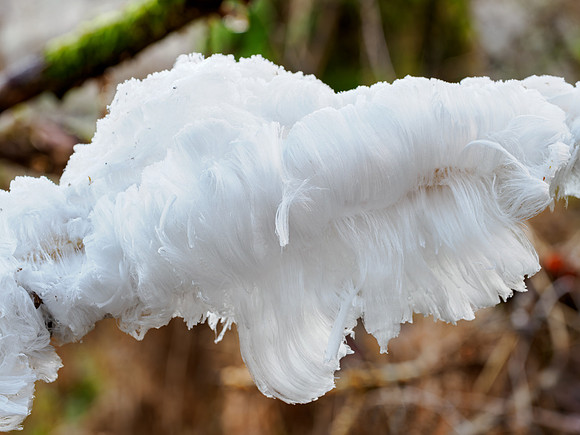 Hair Ice