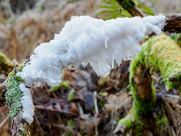 Hair Ice