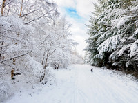 Winter Wonderland