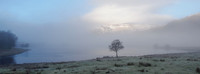 20260118-Glen Cannich-T1000004