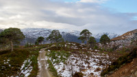20260118-Glen Cannich-T1000010