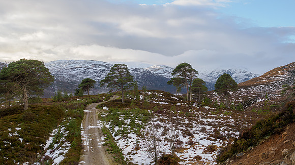 20260118-Glen Cannich-T1000010