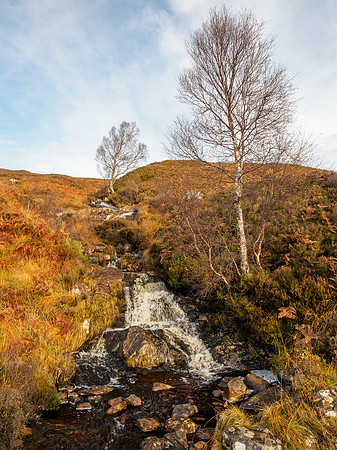 Autumn Walk
