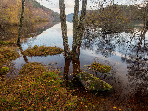 Autumn Walk