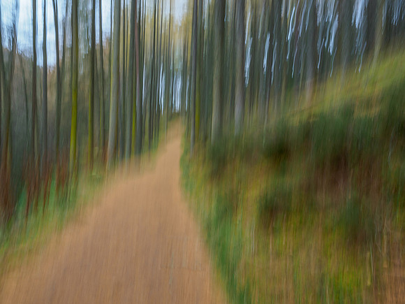 ICM