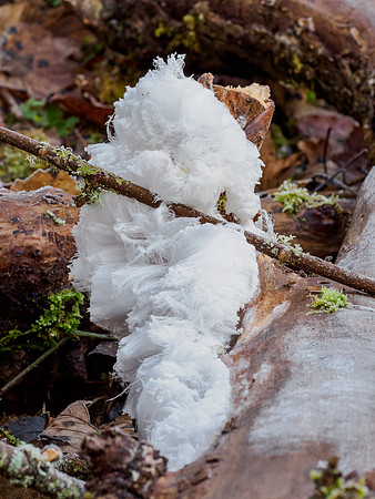 Hair Ice