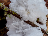Hair Ice