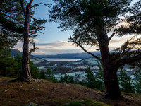 20221204-Balmacaan-OM018517