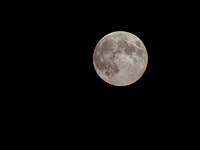 Full Moon 07/12/2022