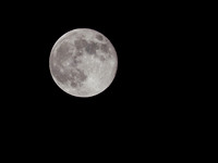20221208-Moon-OM018845