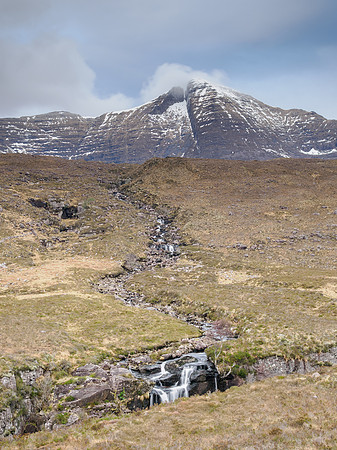 AlligIn Again