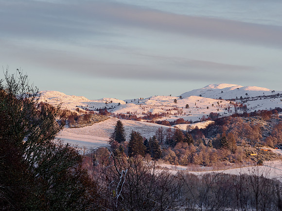 View From the Back Garden