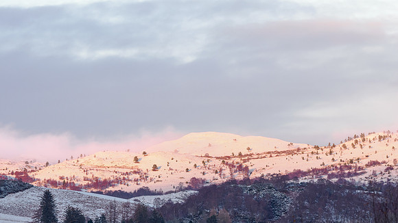 View From the Back Garden