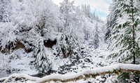 2026-01 Winter Wonderland