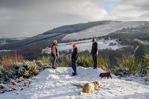 Boxing Day Dog Walk