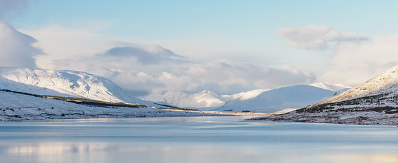 Winter Blues