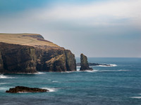 20260305-Wind Wick-T1000068