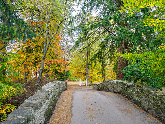 Autumn Bridge
