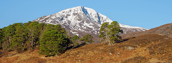 Loch Affric Viewpoint
