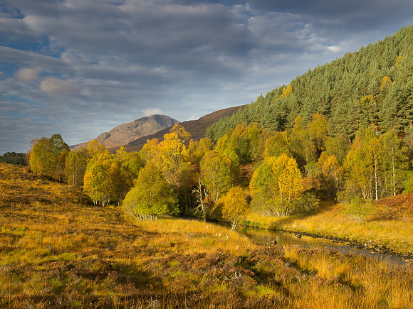 2012-10 Glen Affric Colours